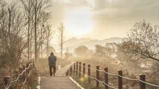 the man divorced his beloved woman and regretted it. #love #romance