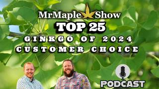 Top 25 Ginkgo Of 2024 Customer Choice | MrMaple Show Podcast