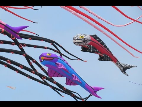 Berkeley Kite Festival - 7/25/15