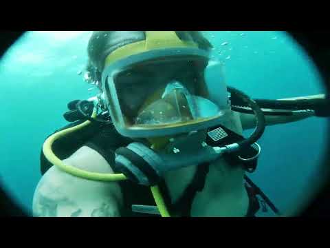 Exploring the Depths: Inside an Abandoned Shipwreck