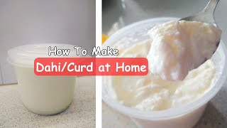 How To Make Thick Curd at Home: Enhance Your Favorite Dishes | घर पर गाढ़ी दही बनाने का आसान तरीका