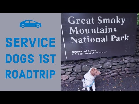 Service Dogs 1st Roadtrip!