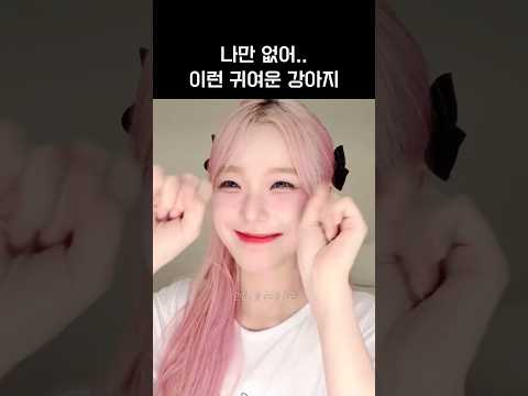 [프로미스나인]나만 없어 강아지..