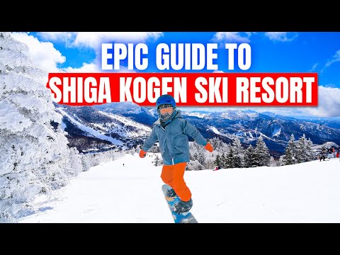 Plan Your EPIC Family Snow Trip to SHIGA KOGEN Ski Resort JAPAN