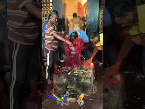 Kalighat Mandir #food #shortsvideo #youtubeshorts