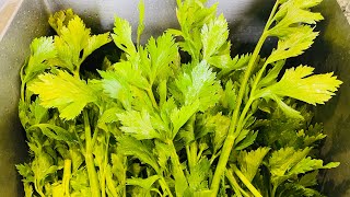 Freezing Garden Celery