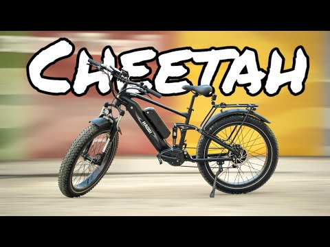 HAOQI Cheetah E-Bike Review // Dual Battery, Dual-Suspension, Good Price