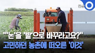 '''논'을 '밭'으로 바꾸라고요?''.. 고민하던 농촌에 떠오른 '이것' / OBS 뉴스O