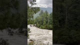 Mighty Parvati River flowing in monsoons! #river #himachal #travel #monsoon #parvativalley #nature