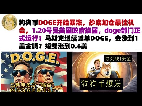 狗狗币DOGE开始暴涨，抄底加仓最佳机会，1.20号是美国政府换届，doge部门正式运行！马斯克继续喊单DOGE，会涨到1美金吗？短线涨到0.6美金#DOGE币#马斯克狗狗币#DOGE行情分析