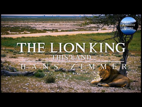 The Lion King - This Land | Calm Continuous Mix