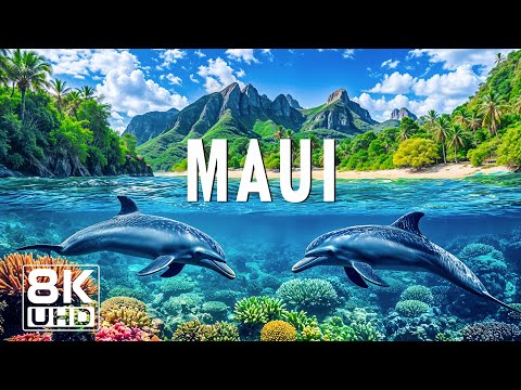 Maui 8K UHD – Discover the Magic of the Valley Isle