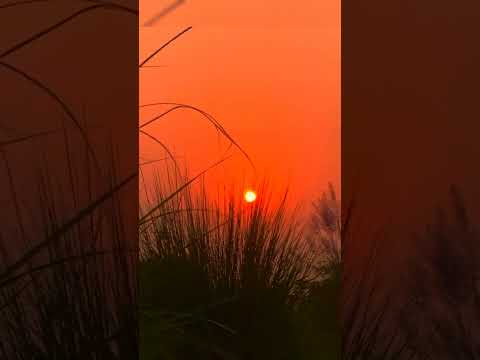 FREE COPYRIGHT #A sunset proof that no matter what happens, every day end beautifully#youtubeshorts