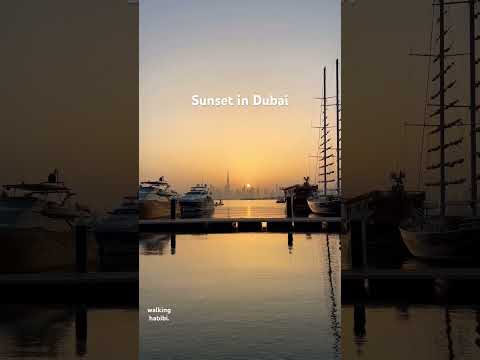 Sunset in Dubai #dubai #dubaisunset