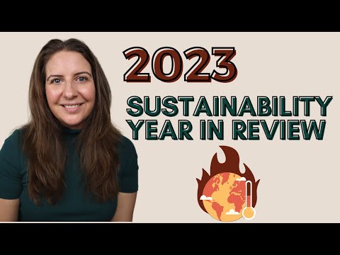 Here's the big things that happened in sustainability in 2023...