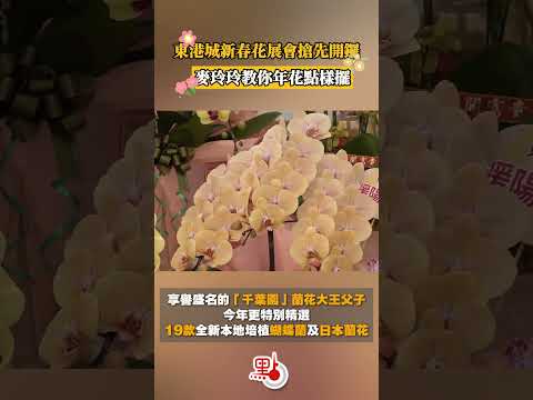 東港城新春花展會搶先開鑼　麥玲玲教你年花點樣擺｜#花展  @dotdotnews點新聞 #shorts