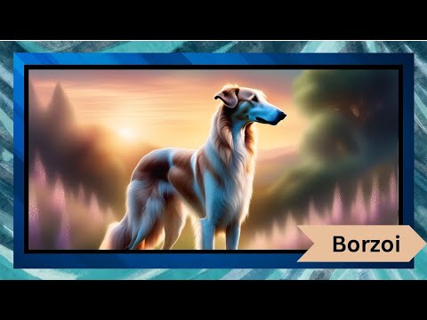 Borzoi: The Elegant and Mysterious Hound 🐾 Everything You Need to Know!