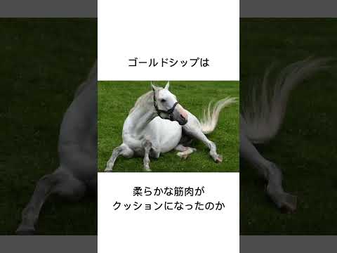 白い悪魔、ゴールドシップ　#競馬 #馬 #騎手 #競艇 #競輪#雑学