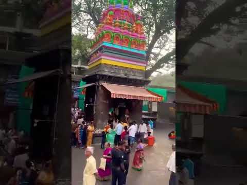 तुळजाभवानी मंदिर तुळजापूर दर्शन#viraltrend