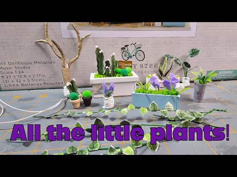 Mayberry Street Music Studio : Plants! 🌵🪴🌱 #miniature #dollhouse