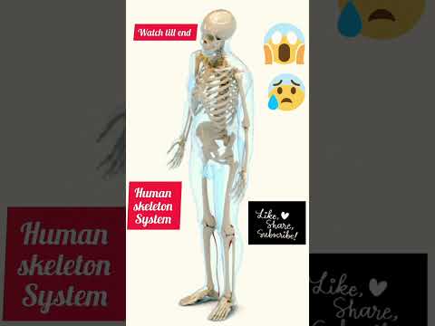 #human #skeleton #system #shorts #viral #youtubeshorts #youtube #youtuber #shortsviral #shortsfeed