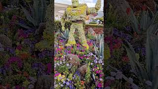 Buzz Lightyear topiary at Flower and Garden #flowers #flowerandgarden #epcot #toystory #disney