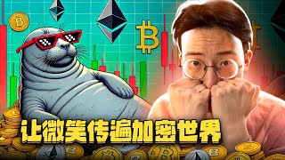 Chunky Seal：下一个爆火的梗币？🤯 0税收+边玩边赚+疯狂路线图！