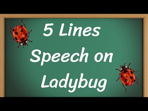 Ladybug Short 5 Lines Speech in English || 5 Lines Speech on Ladybug