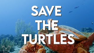 Save The Turtles - Anti-Hero Taylor Swift Parody