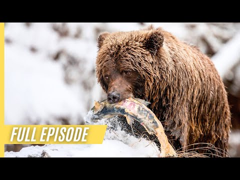 Wild Canada - The Wild West | Full Episode