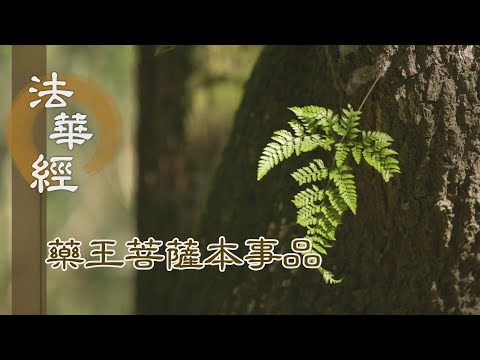 【靜思妙蓮華】 法華經 藥王菩薩本事品 - 法華一乘 諸經之王 - 第1848集 20250110