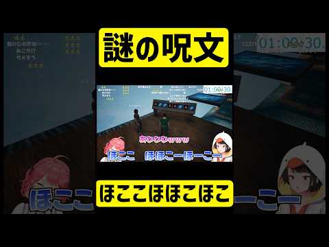 謎の呪文「ほここほほこほこ」で爆笑するみこスバｗ【ホロライブ/切り抜き/さくらみこ/大空スバル】