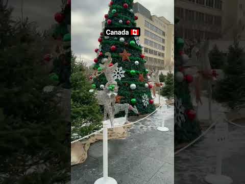 This is our first Christmas in Canada and we enjoyed a lot here to see decoration .