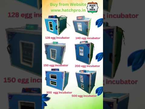 Dhamakedar independence week sale on egg incubator fully automatic,egg turning trays #egghatching