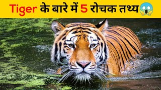 Tiger के बारे में 5 रोचक तथ्य😱 | #shorts #newfactsvideohindi #ytshorts