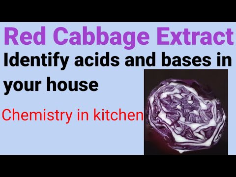 Red cabbage extract (Colour changes in acids and bases)