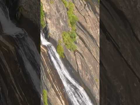 WaterFall - Tramptraveller #shorts#waterfalls#naturevideo#athirappilly falls#Nature.