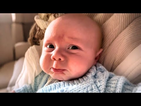 Cuteness Overload: Cute Baby Videos Compilation 🥰👶