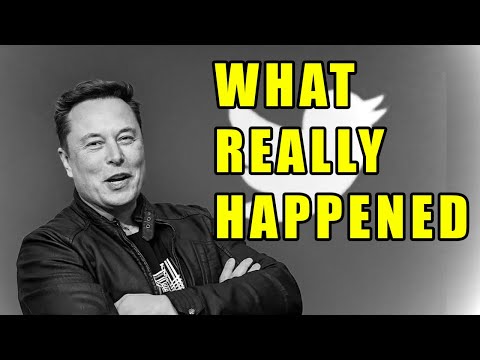 Why Elon Musk Broke Ukraine and Bought Twitter - A Deep Analysis