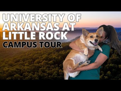 University of Arkansas at Little Rock Campus Tour | Walk with Me & My Corgi in 4K