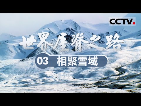 《世界屋脊之路》03 相聚雪域：穿越极寒与险境 康藏青藏公路开启西藏新篇章！【CCTV纪录】