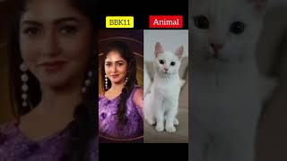 Biggboss kannada contestants v/s animals #trivya #trivikaram #trimokshi #song #mokshitha #viralvideo