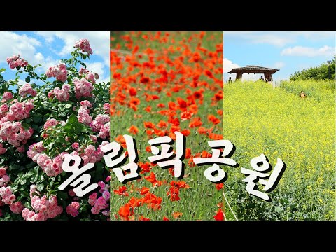 4K 서울 가볼만한곳 6월 국내여행지 추천 올림픽공원 들꽃마루 장미광장 | 대중교통 당일치기 여행 | Olympic Park in Seoul, Korea