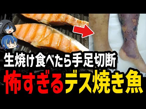 【ゆっくり解説】生焼け魚を食べて四肢切断…本当にあった怖いデス食品事件５選