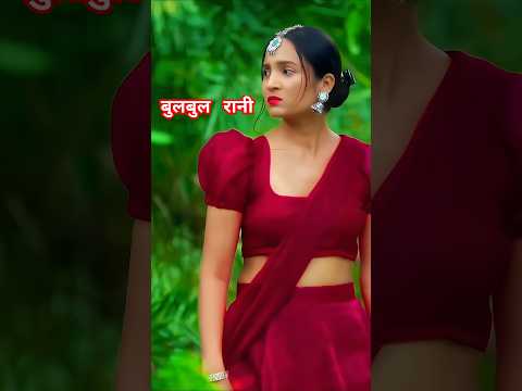 बुलबुल रानी || 2024 new aadivasi timli song || new Aadivasi song || #ytshorts #shorts