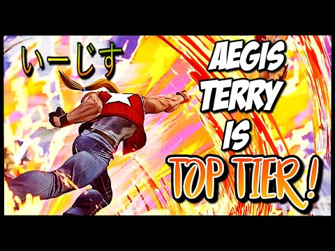 AEGIS [いーじす] TERRY IS TOP TIER!