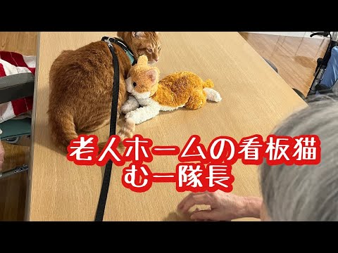 かくれんぼ＆放課後😺