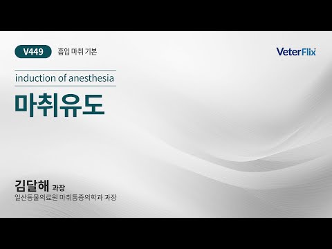 [베터플릭스][흡입 마취 기본] 마취유도(Induction of anesthesia)