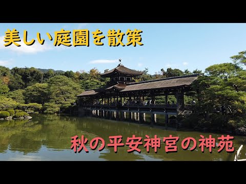 Shinto Garden at Heian Shrine in Autumn【Shrines in Kyoto】