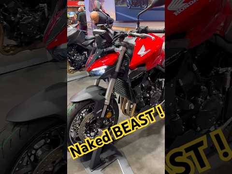 New 2025 Honda Hornet 1000 the naked beast! #honda #hornet